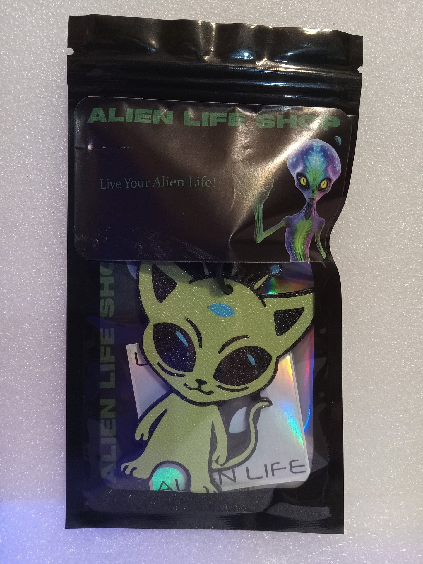 Cosmic Kitty the Alien Cat Keychain - Green/Blue