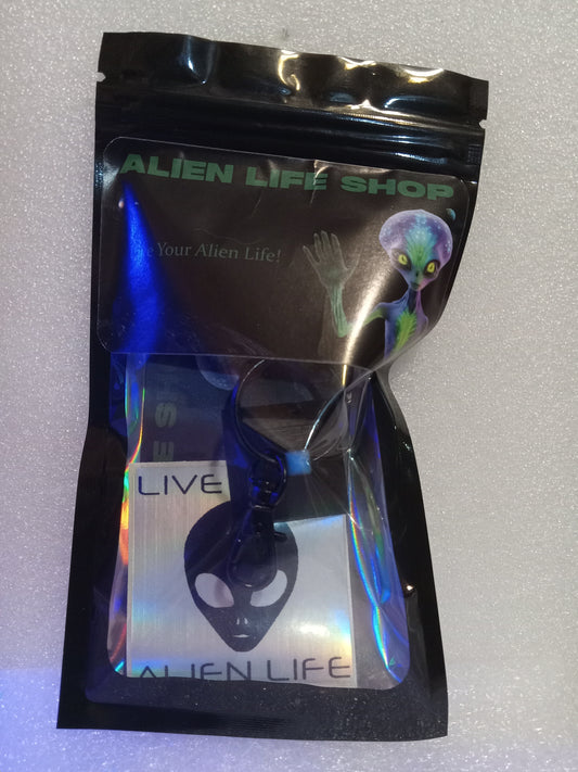Black Pyramid Keychain with Glow In The Dark Alien Head and Top - Blue