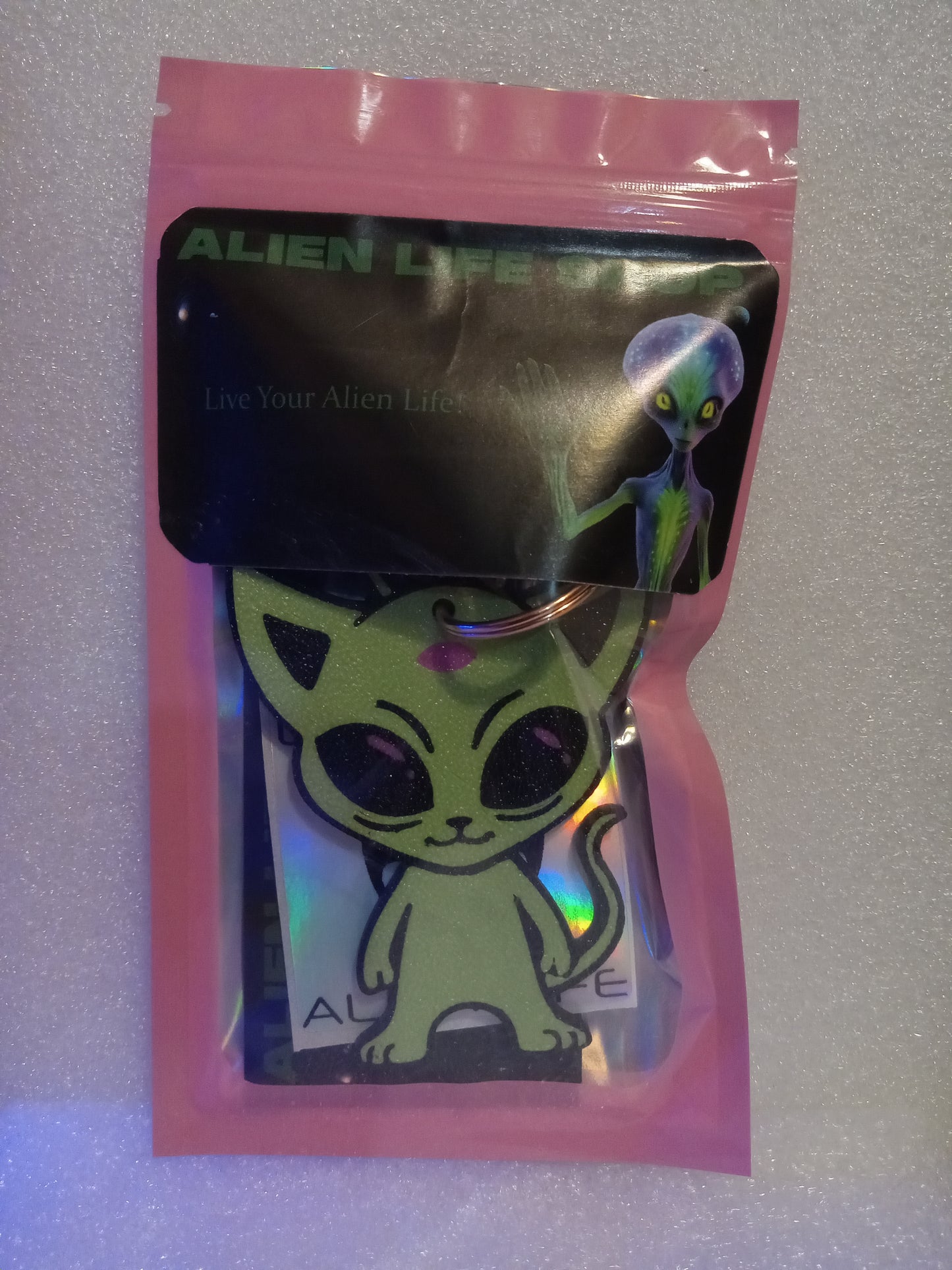 Cosmic Kitty the Alien Cat Keychain - Green/Pink