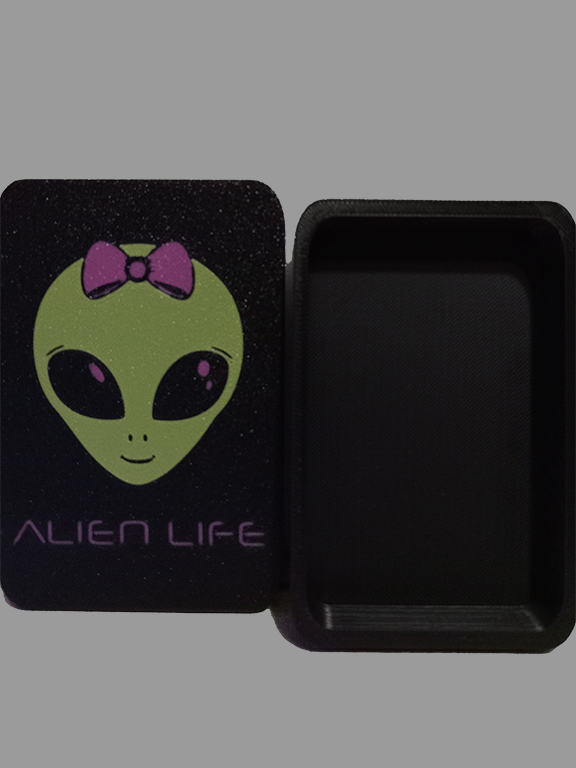 Alien Storage Pocket Box Green/Pink: A Galactic Storage Companion
