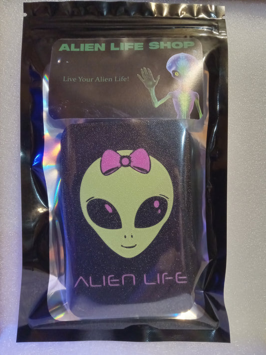Alien Storage Pocket Box Green/Pink: A Galactic Storage Companion