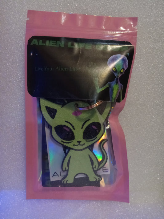 Cosmic Kitty the Alien Cat Keychain - Green/Pink