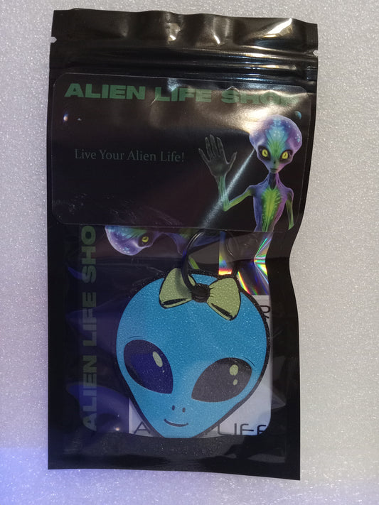 Lil-ien the Cute Alien Keychain - Blue/Green
