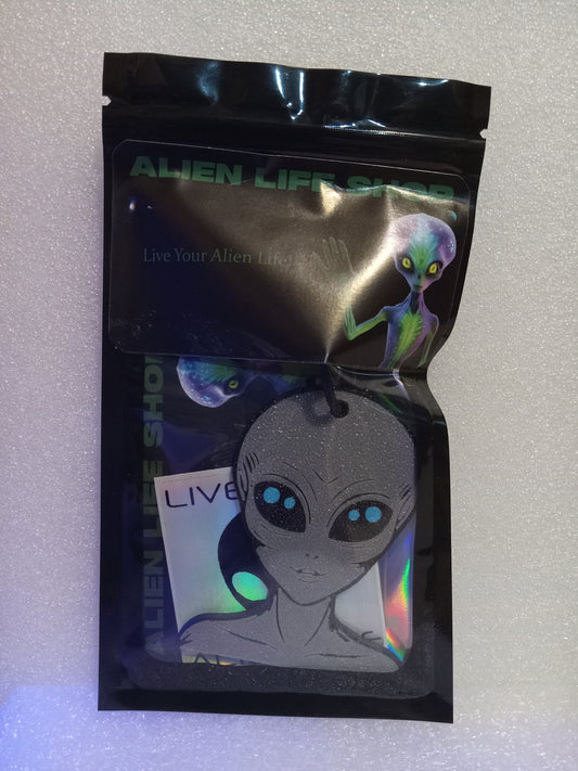 Galactic Grey/Blue Alien Keychain: A Cosmic Ambassador