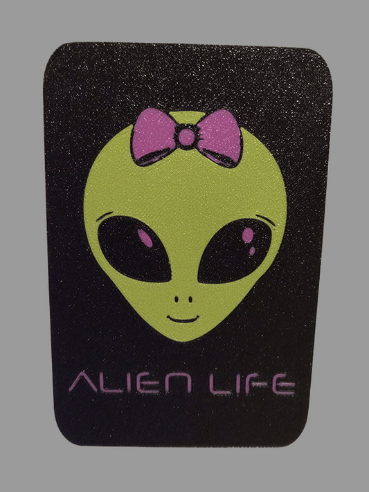 Alien Storage Pocket Box Green/Pink: A Galactic Storage Companion